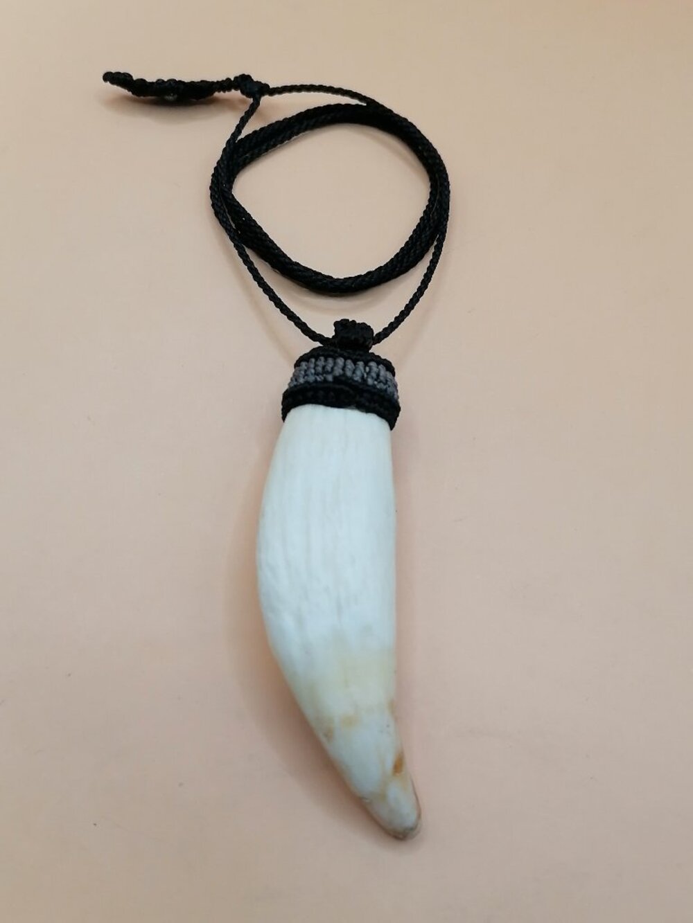Shamanic Sea Lion Tooth Necklace Protection Amulet - Picture 3 of 8